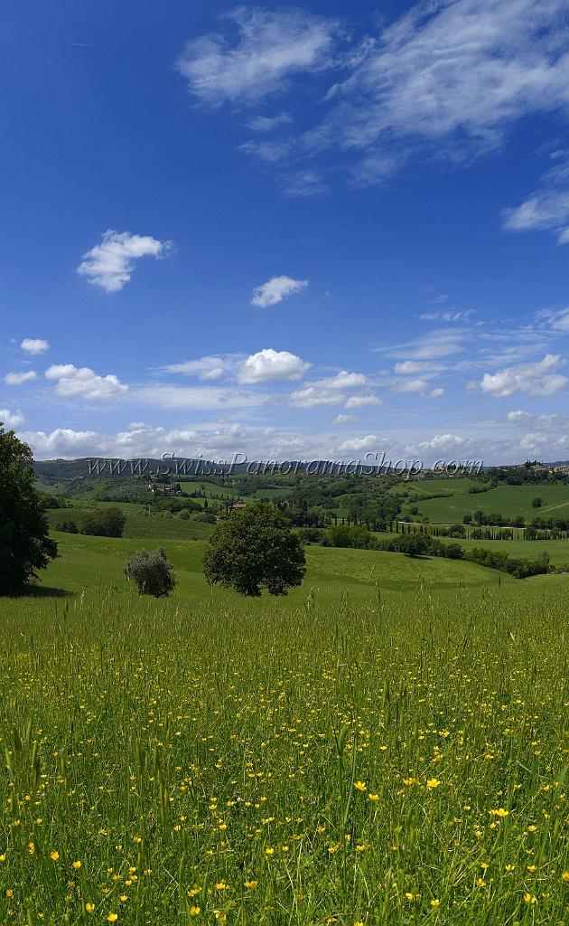14451_18_05_2013_torrita_di_siena_tuscany_italy_toscana_italien_spring_fruehling_scenic_outlook_viewpoint_panoramic_landscape_photography_panorama_landschaft_foto_1_6333x10302.jpg